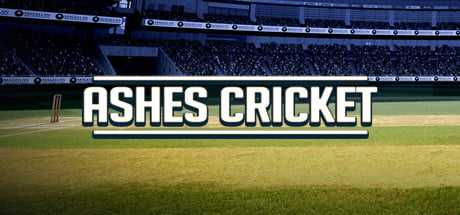 cricket games for pc